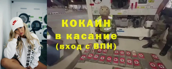 прущие грибы Абдулино