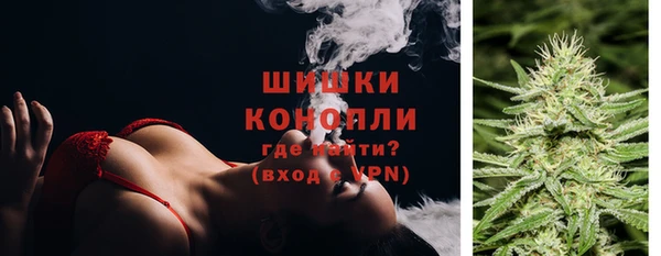 прущие грибы Абдулино
