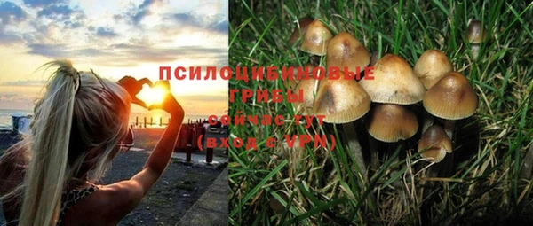соль курить ск Абаза